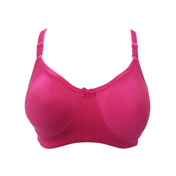 Sunny Moulded Bra ( Moulded 57 ) – Sunny Lingeries