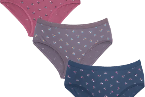 Sunny Stylish Panty ( Eva Panty ) - Pack of 3