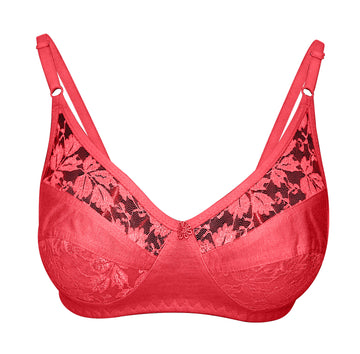 Sunny Ladies Beautiful Bra ( C-807 )