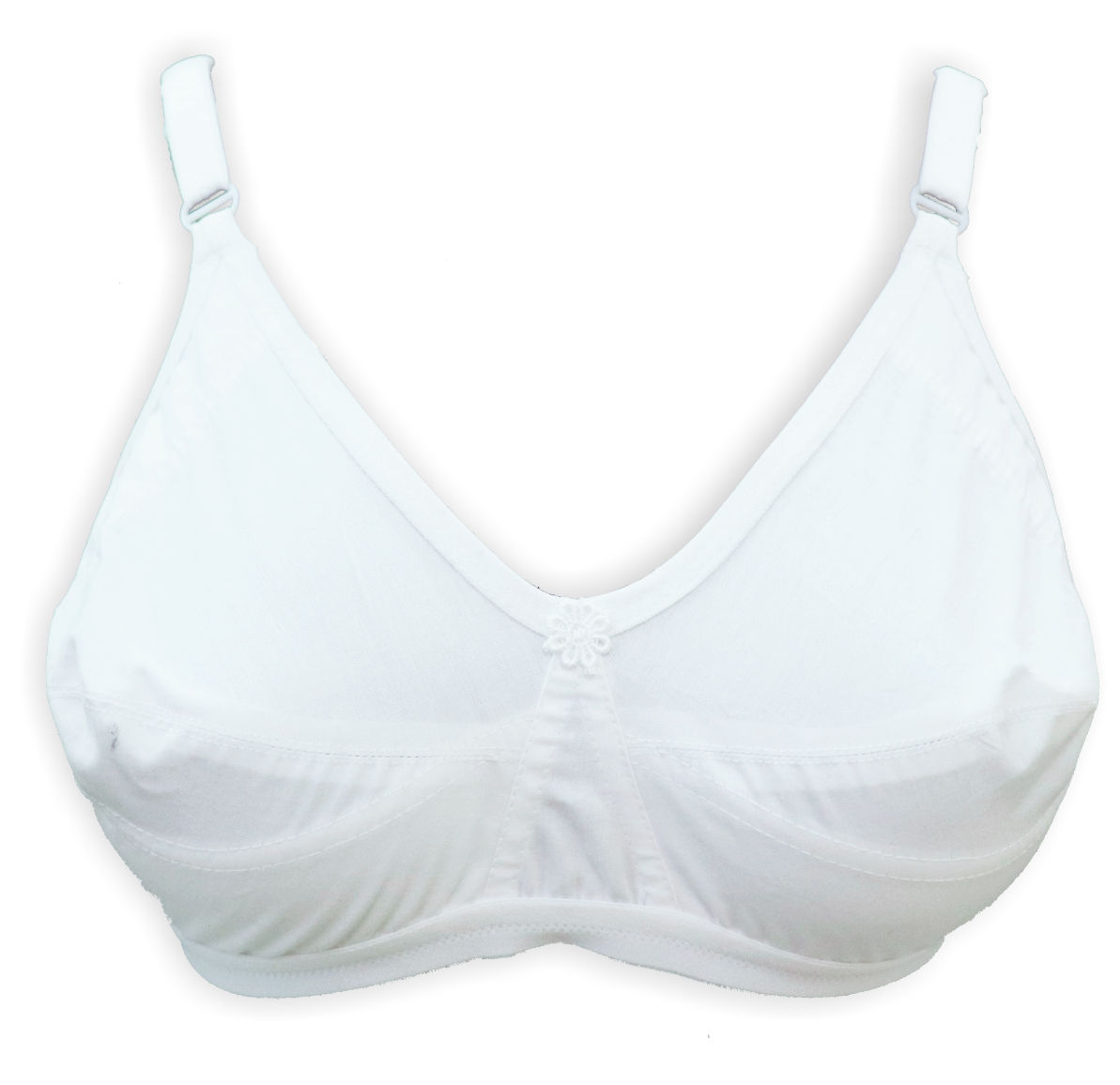 Sunny Women bra ( Madhvi )